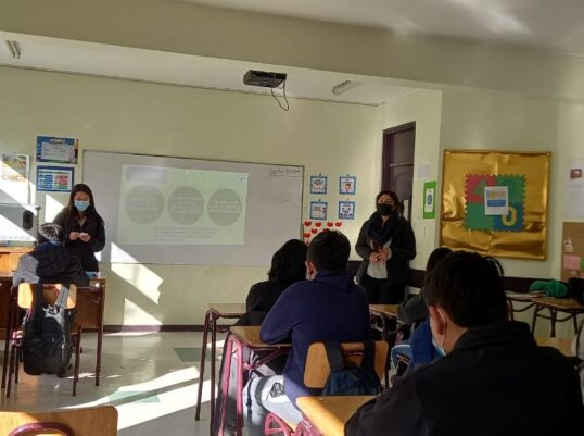 Talleres de reciclaje y medio ambiente en la comuna de Puerto Octay